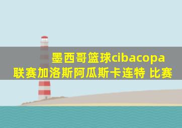 墨西哥篮球cibacopa联赛加洛斯阿瓜斯卡连特 比赛